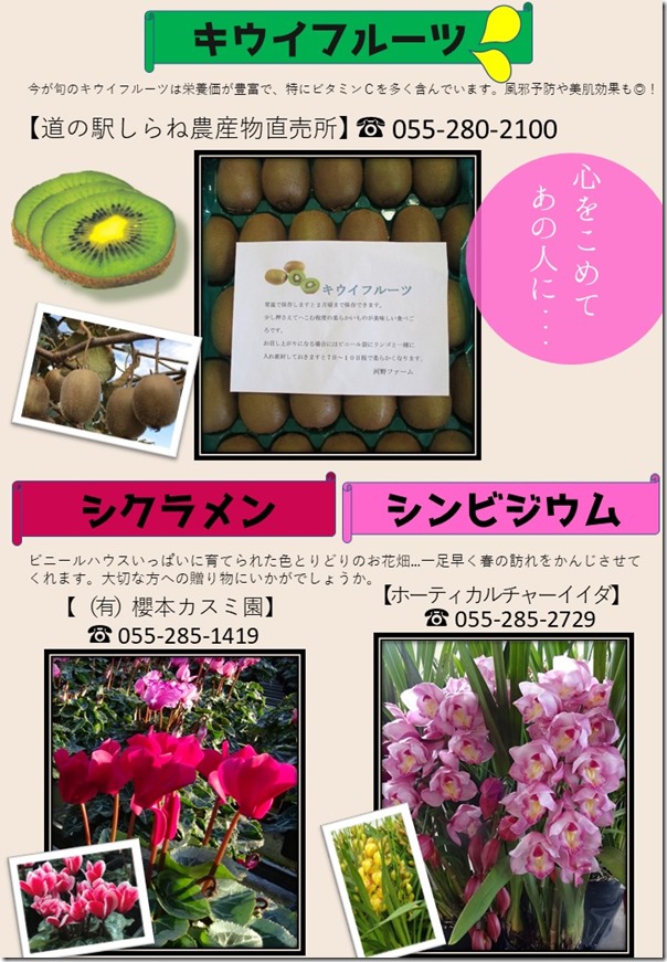 キウイ・花・１