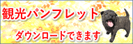 パンフレットのダウンロード