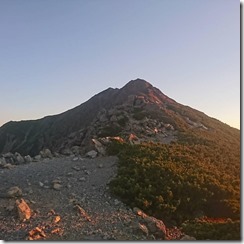 ④