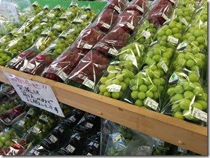 IMG_8143 IMG_8143