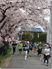 徳島堰