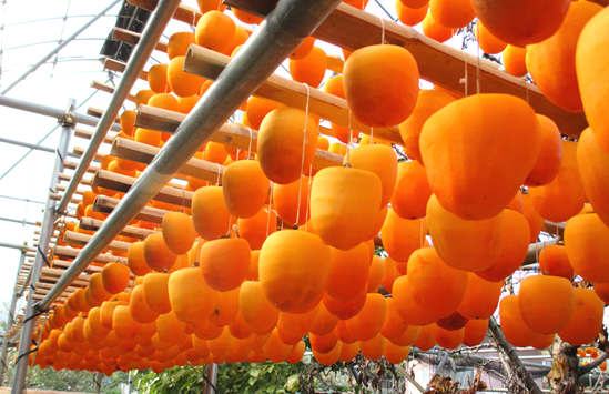 新しい画像 (16)