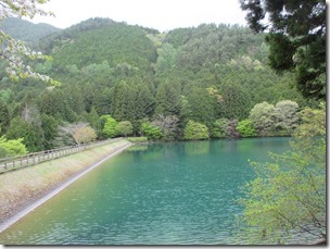 ゲートウェイの新緑の伊奈ヶ湖