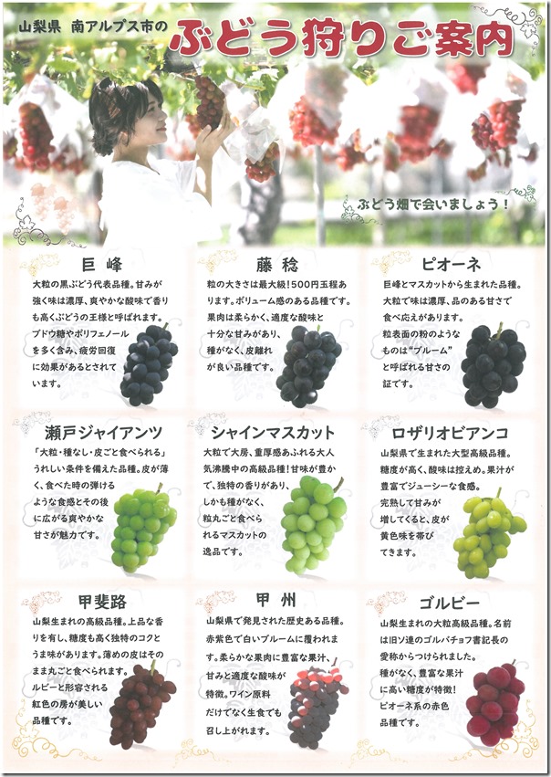 ぶどう狩りご案内・裏
