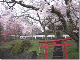 御崎神社③