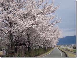 滝沢川沿い 滝沢川沿い