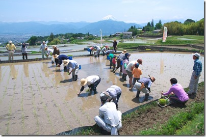 棚田田植え写真