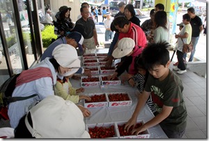 さくらんぼフェスIMG_6586