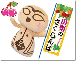 ラヴィさくらんぼ狩り