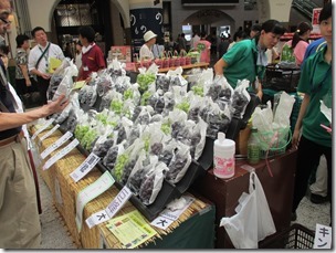 IMG_6633 IMG_6633