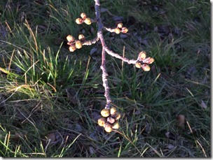 IMG_0006 IMG_0006