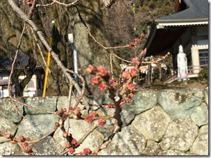 IMG_9996 IMG_9996