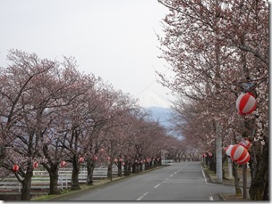 DSC00116