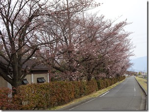 DSC00119