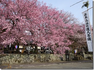 DSC00164