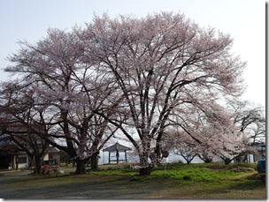 DSC00173