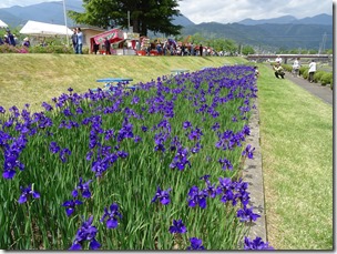 DSC02803