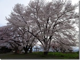 DSC00224