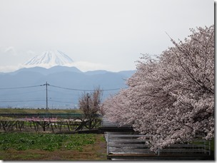 DSC00274