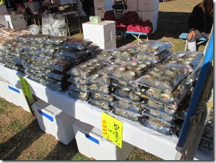 004 004