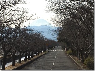 IMG_0099 IMG_0099