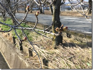 IMG_0100 IMG_0100