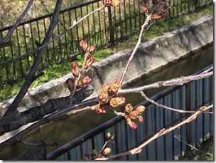 IMG_0105 IMG_0105
