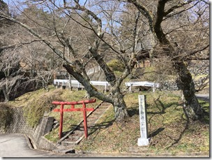 IMG_0109 IMG_0109