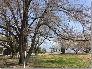 IMG_0117 IMG_0117