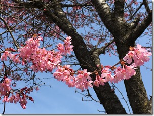 IMG_0129 IMG_0129