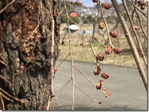 IMG_0149 IMG_0149