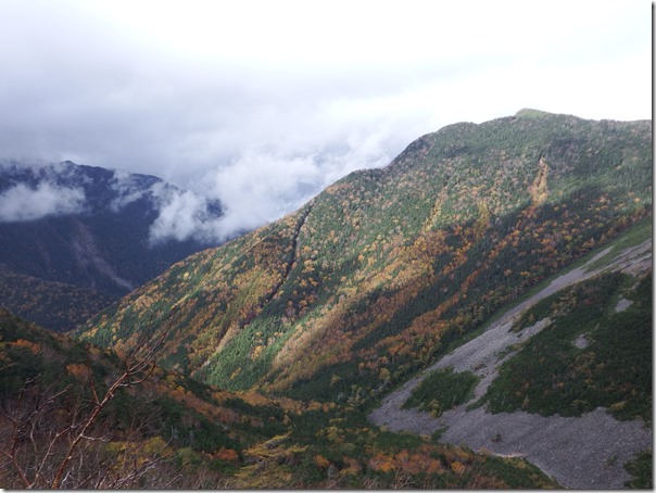 栗沢山山頂付近から仙水峠方向写真