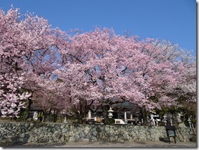 DSC00485