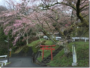 IMG_0199