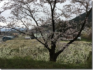 IMG_0225