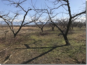 IMG_1735