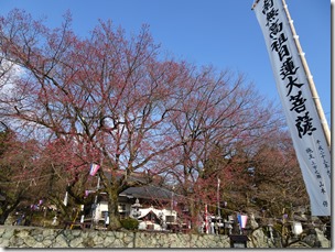 DSC00004 DSC00004