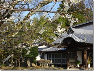 DSC00012 DSC00012