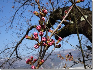 DSC00019 DSC00019