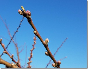 IMG_0165 IMG_0165