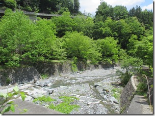 IMG_5336 IMG_5336