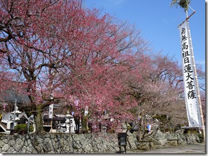DSC00045