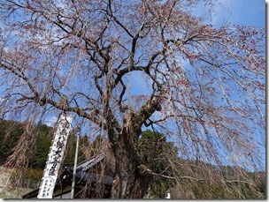 DSC00055