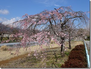 DSC00084