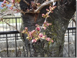 DSC00105