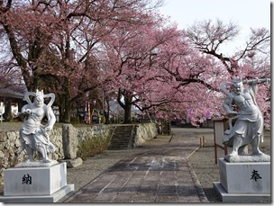 DSC00162