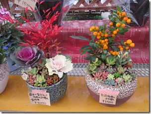 IMG_4282 IMG_4282