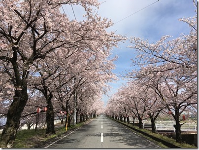 4月12日 5