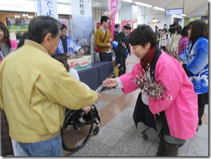 IMG_4682 IMG_4682