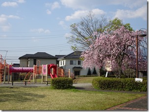 DSC00332